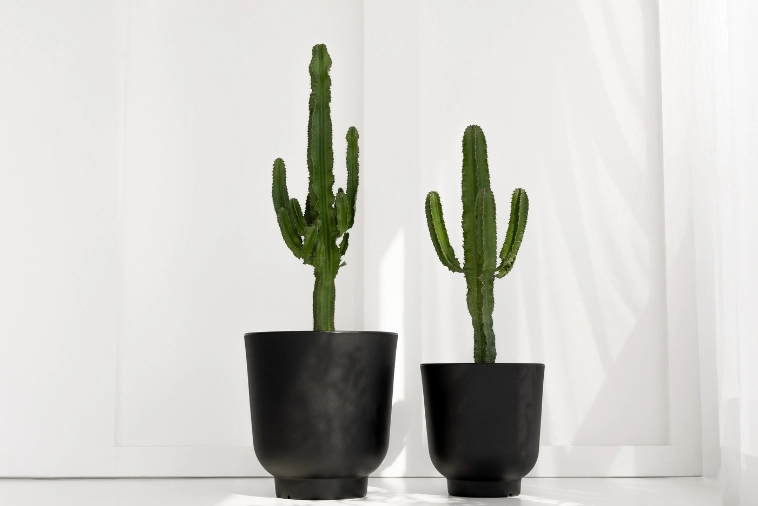 Duże donice do salonu Monumo Stevio do sukulentów